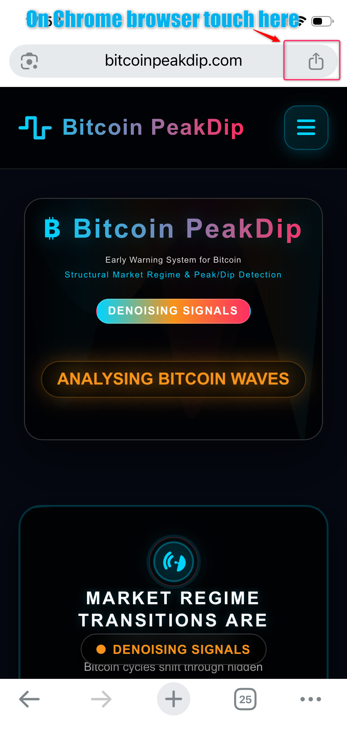 步骤1：打开Safari并访问网站