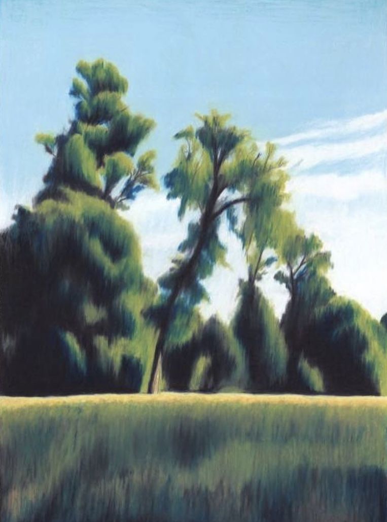 The Art of collecting hobbies. And why it's a good thing