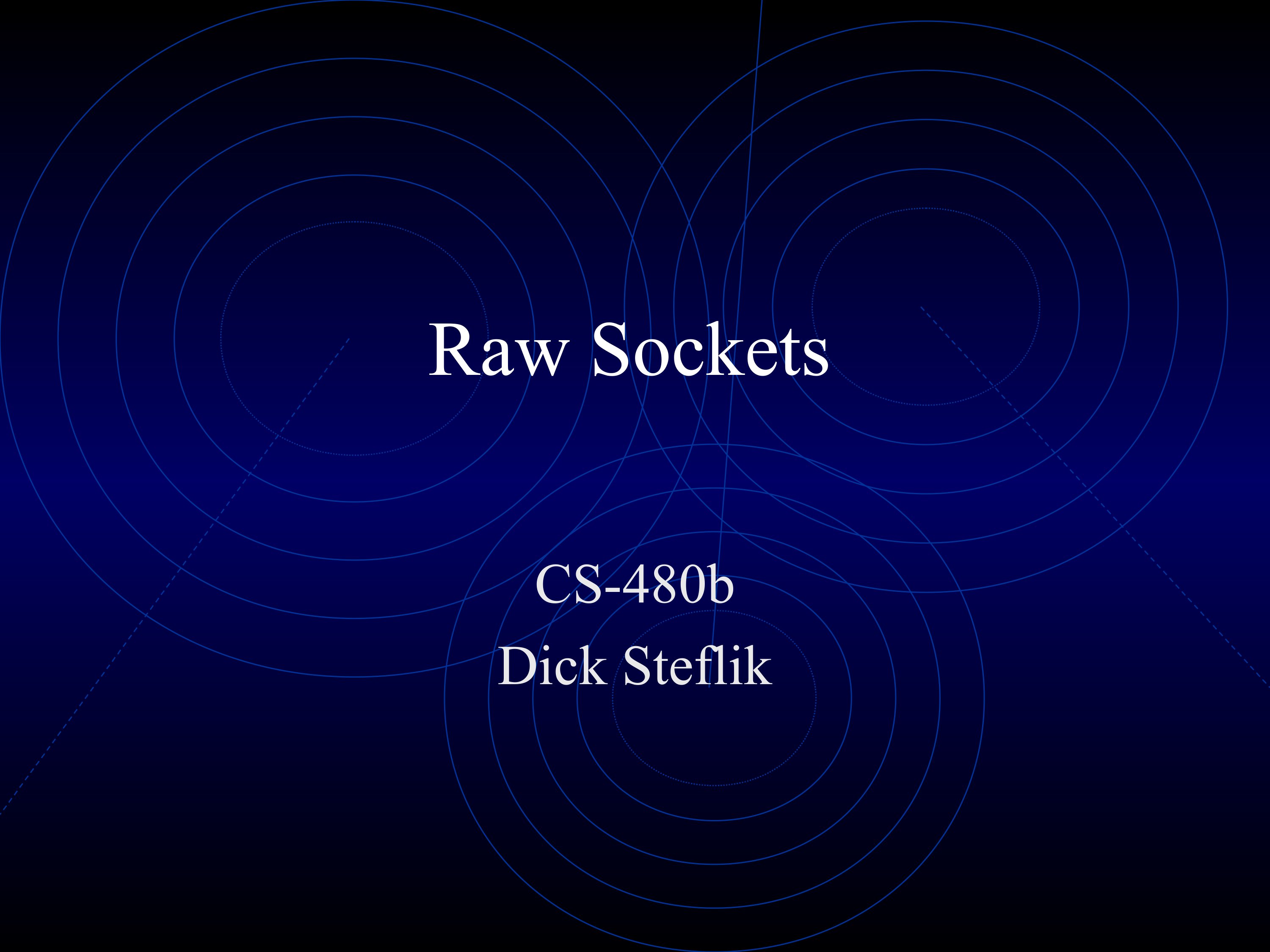 Raw Sockets pdf