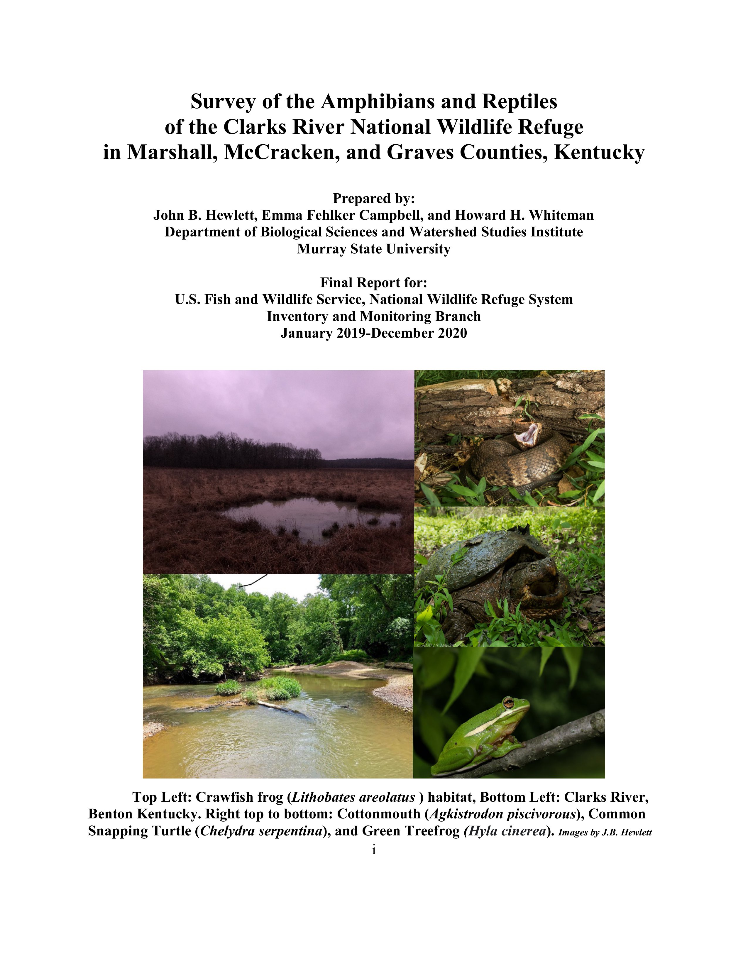 Clarks River Herp Survey-Final Report