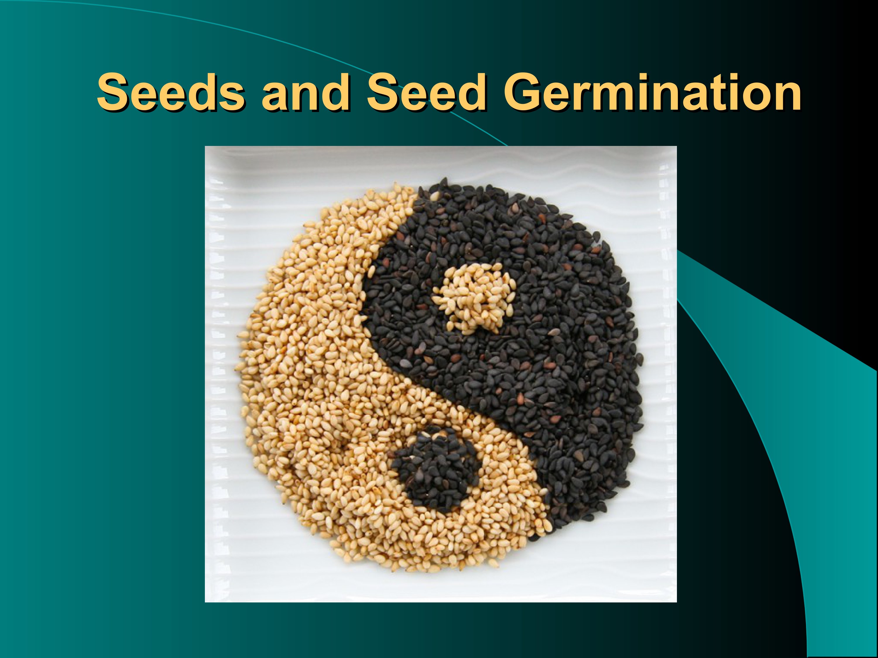 seeds and fruits1