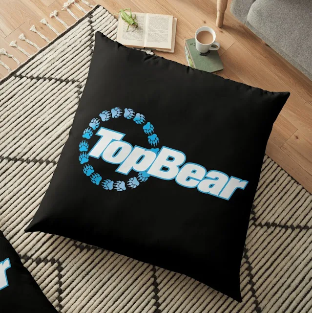 Top Bear pillow for gay home