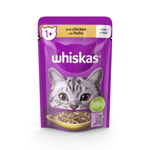 Cat Food