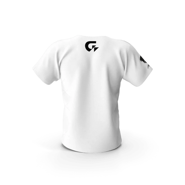 Gigabyte Aorus Men Tshirt, photo 3