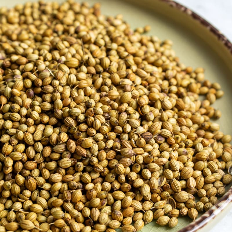 Coriander (Dhaniya)
