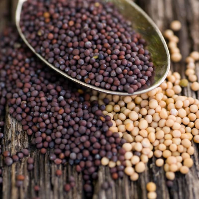 Mustard Seeds (Rai / Sarson)