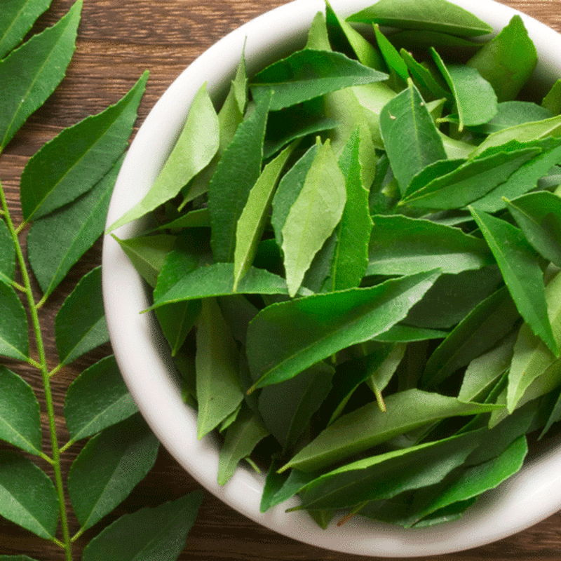 Curry Leaves (Kari Patta)