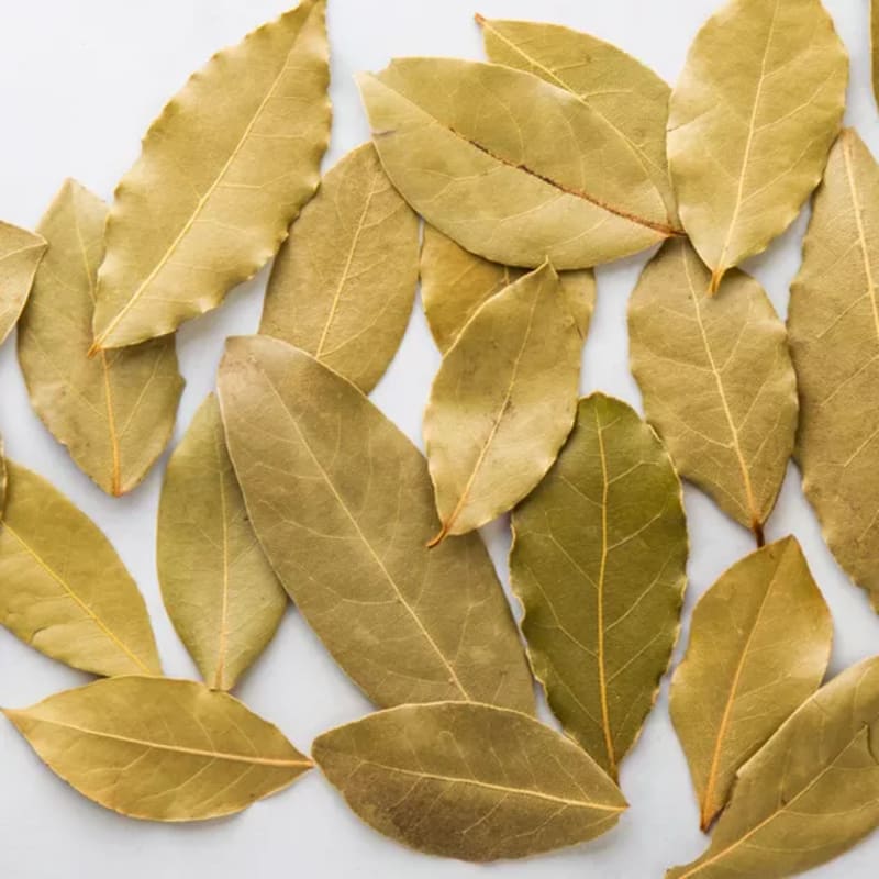 Bay Leaf (Tej Patta)