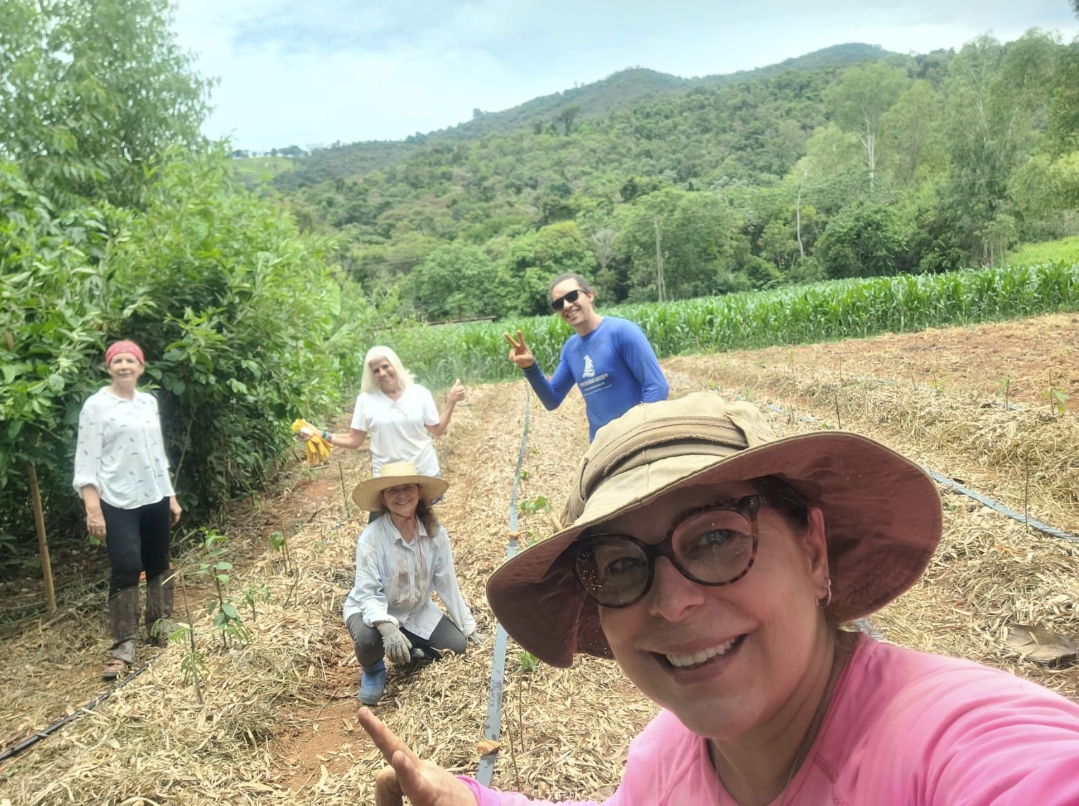 Mutirão agroflorestal