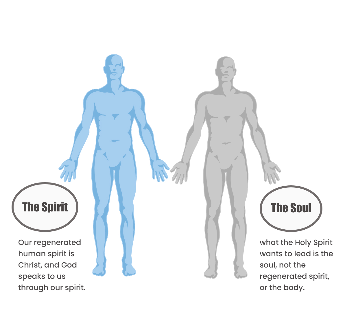 What Is The Difference Between Human Soul And Human Spirit
