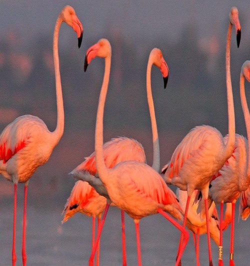 3 bedroom House in La Marina