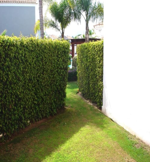 2 bedroom Apartment in El Paraiso