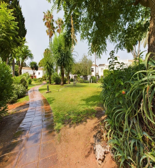 3 bedroom House in El Paraiso