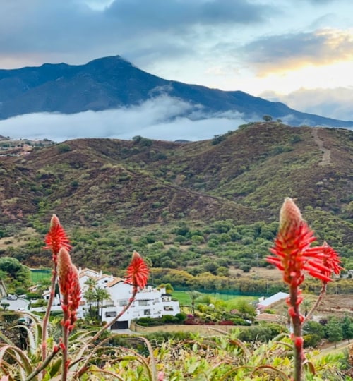 2 bedroom Apartment in La Quinta