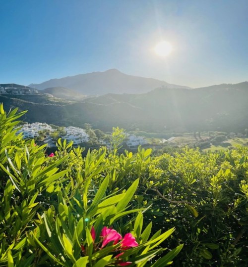 2 bedroom Apartment in La Quinta