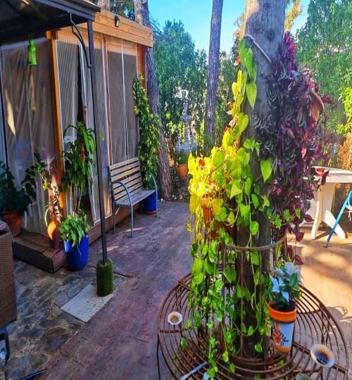 3 bedroom House in El Faro