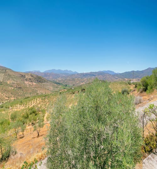 3 bedroom House in Tolox