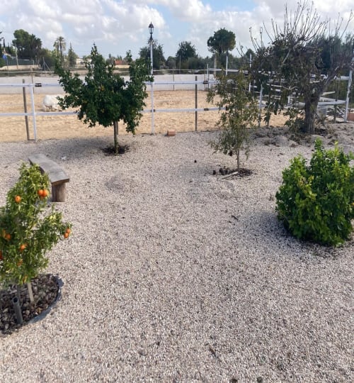 5 bedroom House in Crevillent