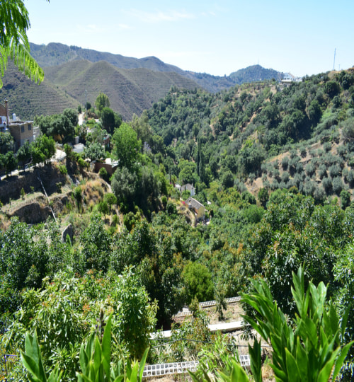 4 bedroom House in Ojén