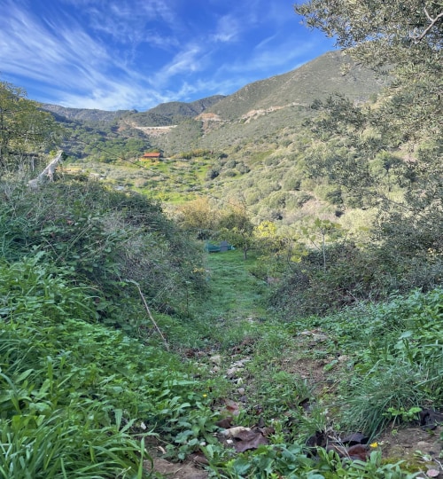 3 bedroom House in Ojén