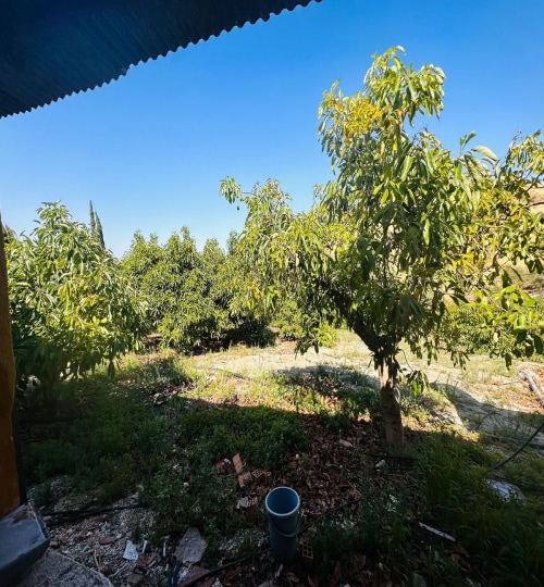 2 bedroom House in Coín