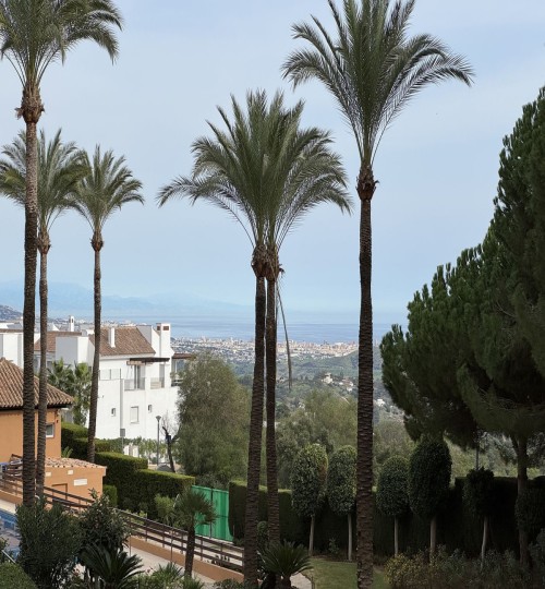 3 bedroom Apartment in La Mairena