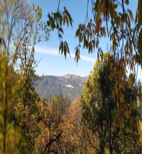 2 bedroom House in Jubrique