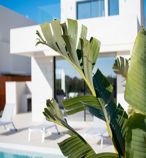 3 bedroom House in Los Montesinos