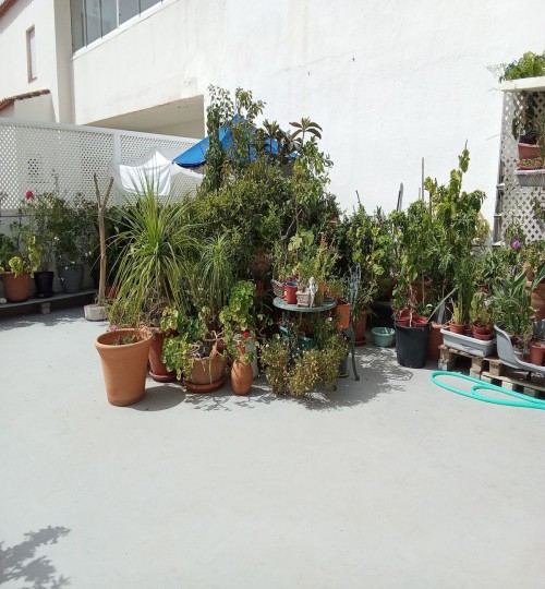 2 bedroom Apartment in Estepona