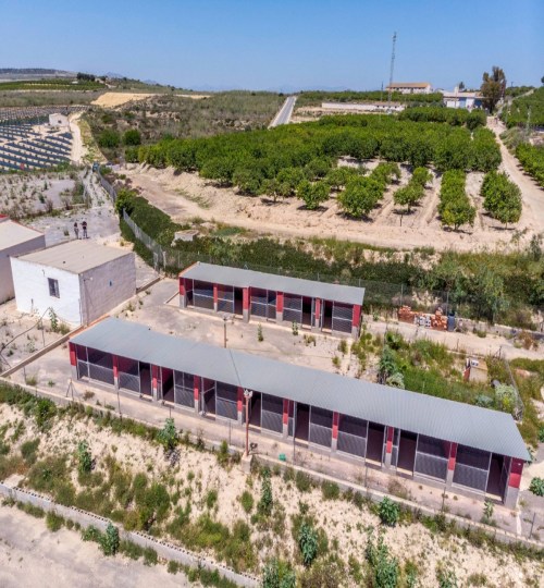 2 bedroom House in Los Montesinos
