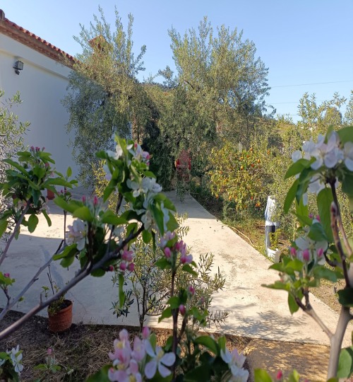 3 bedroom House in Monda