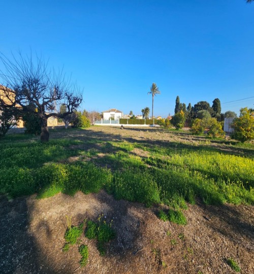 4 bedroom House in Els Poblets