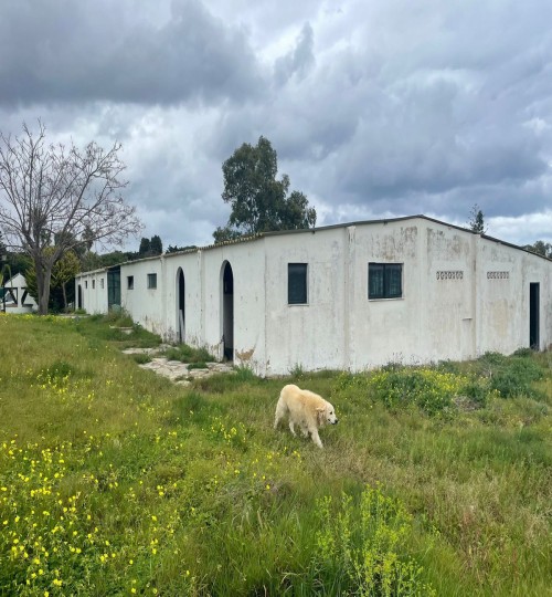 5 bedroom House in La Línea