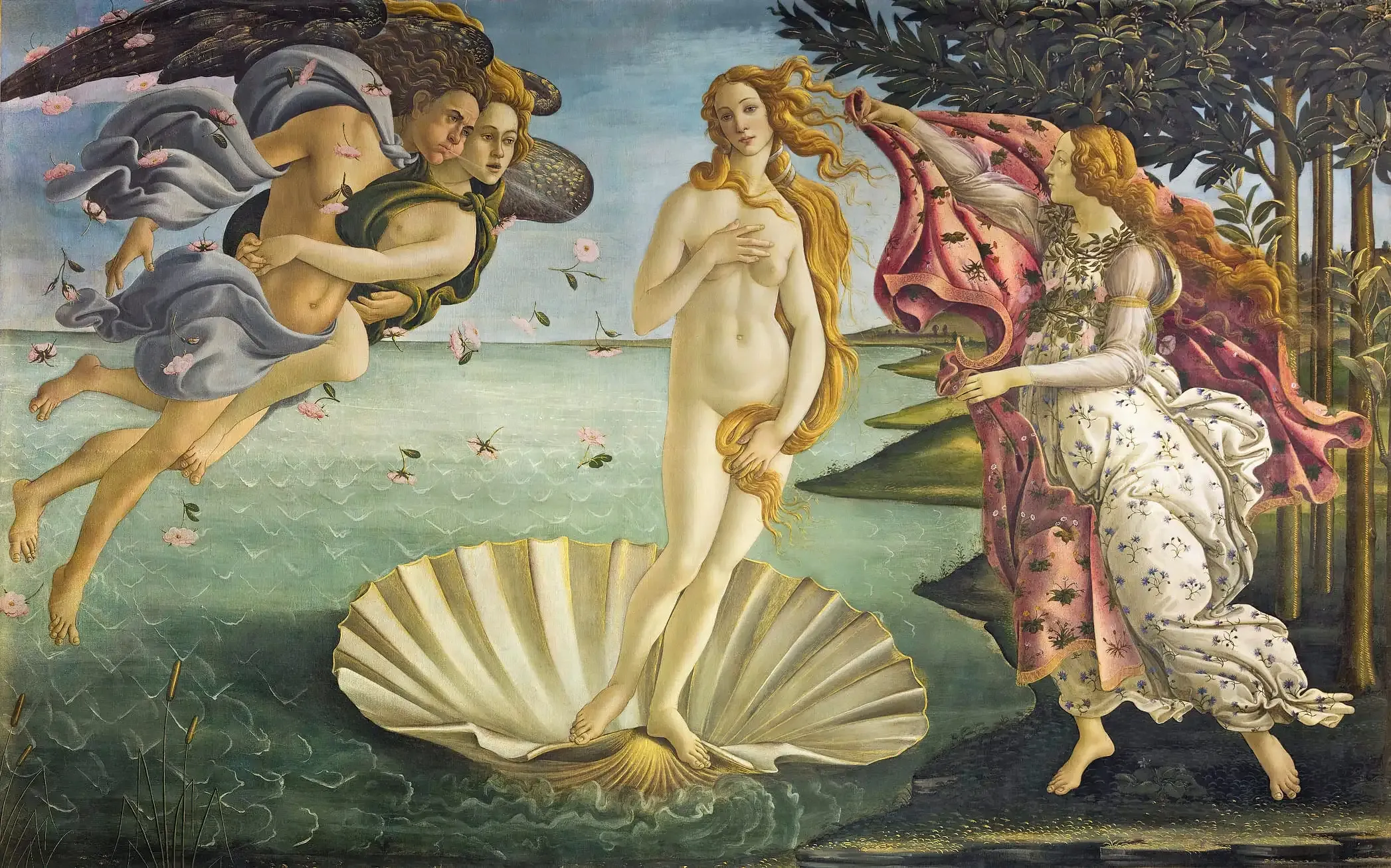 venus, botticelli