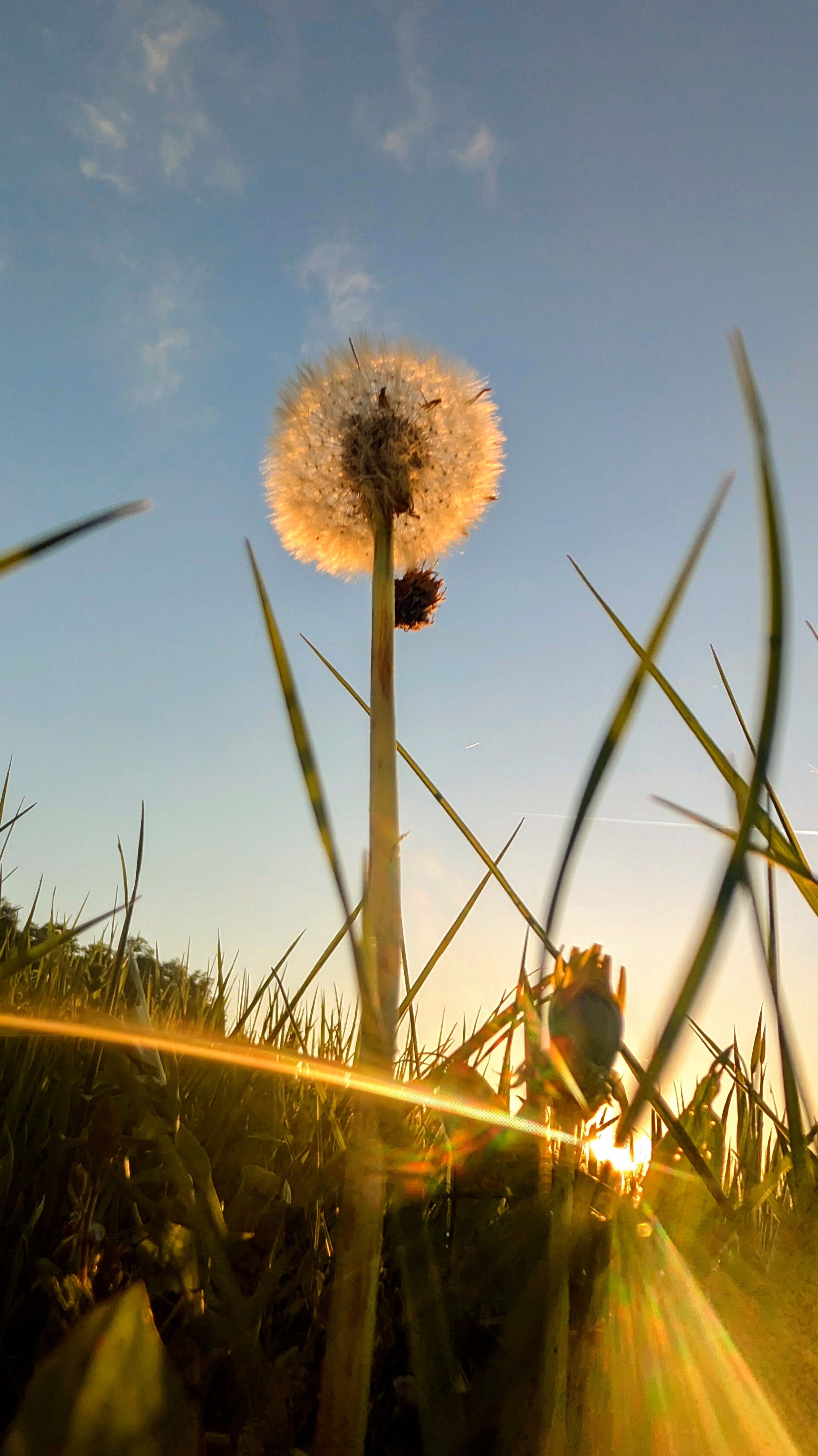 Goldene Leichtigkeit