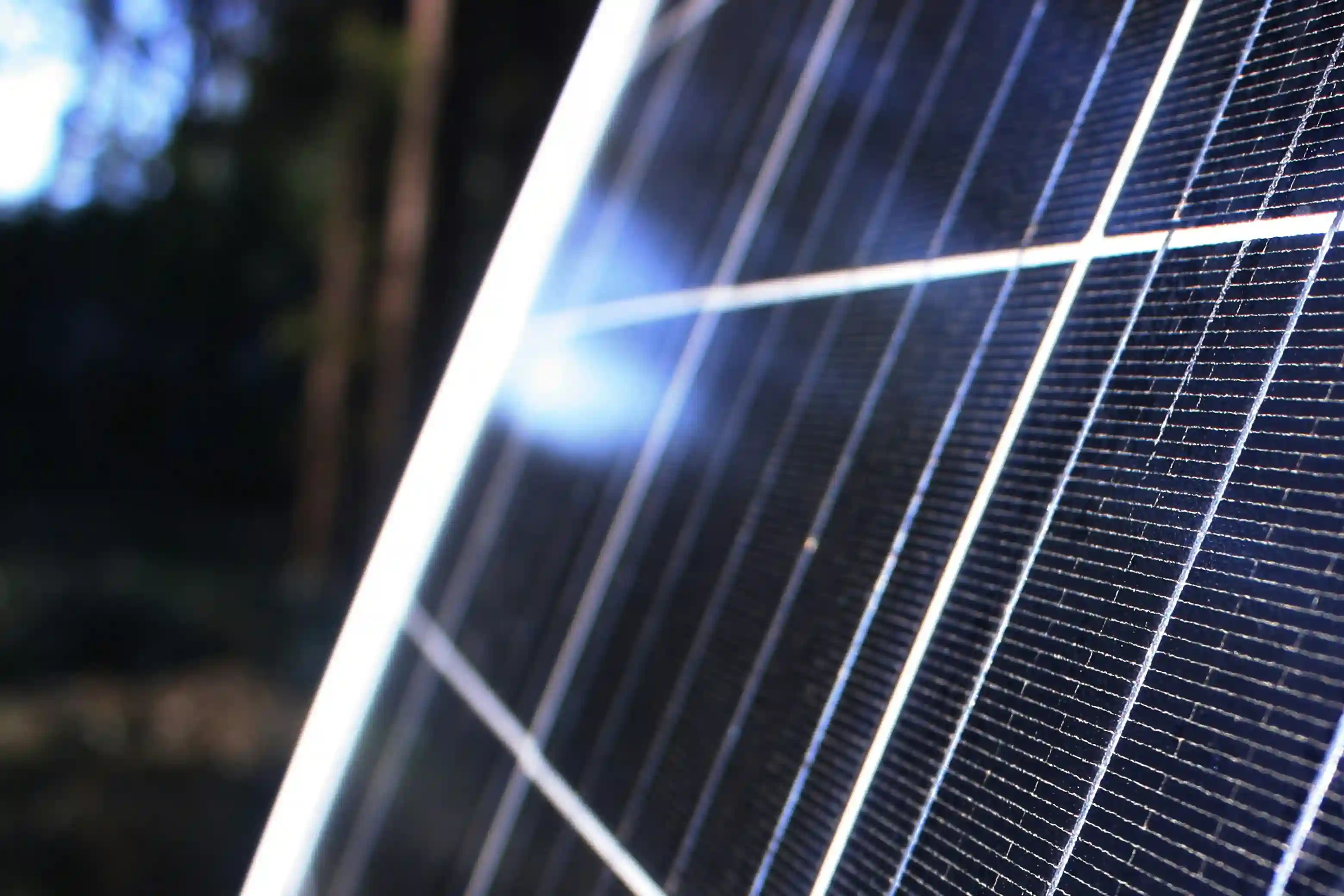 Equipo de Solares BYM junto a instalación solar comercial en Oaxaca