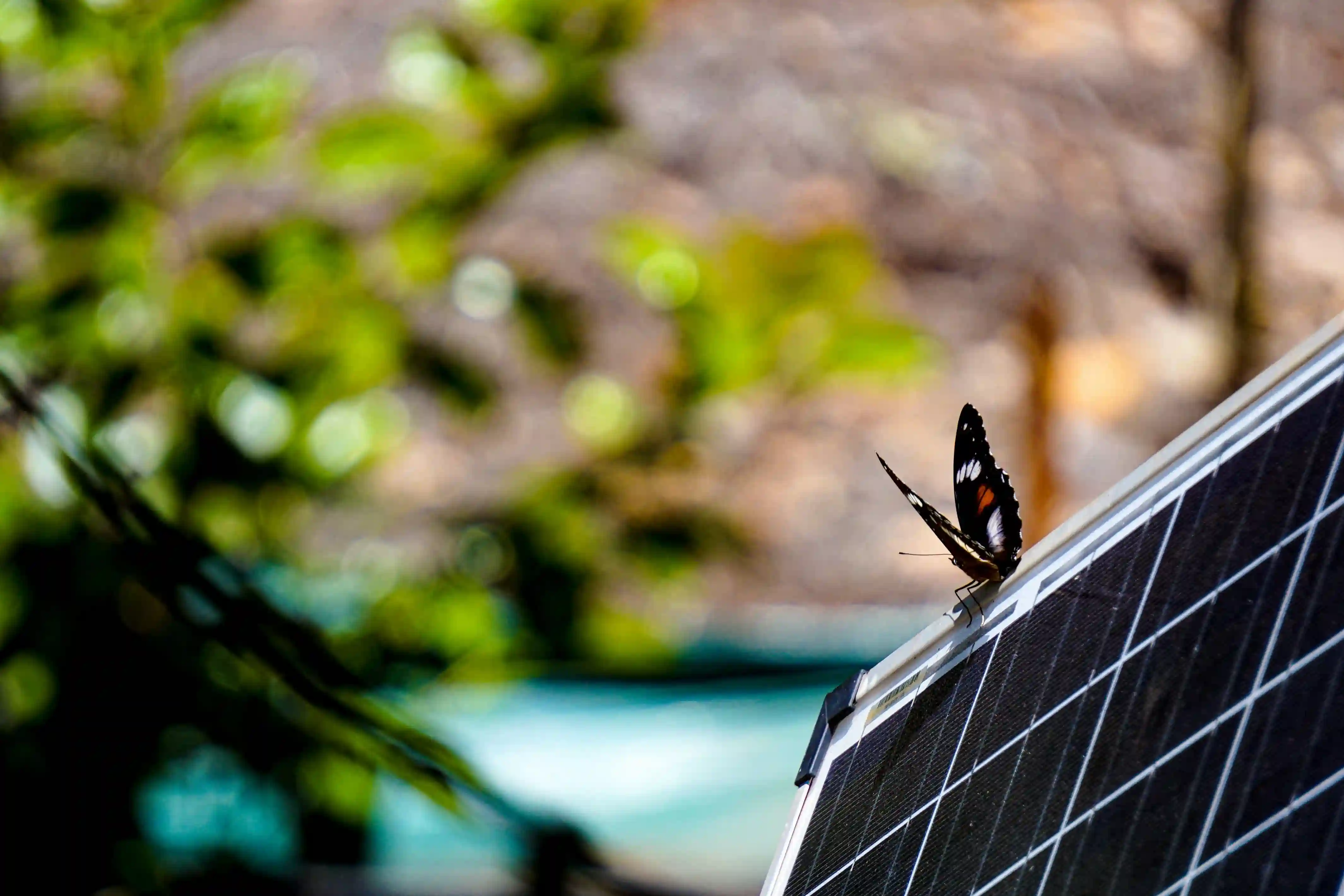 Energía solar en Oaxaca
