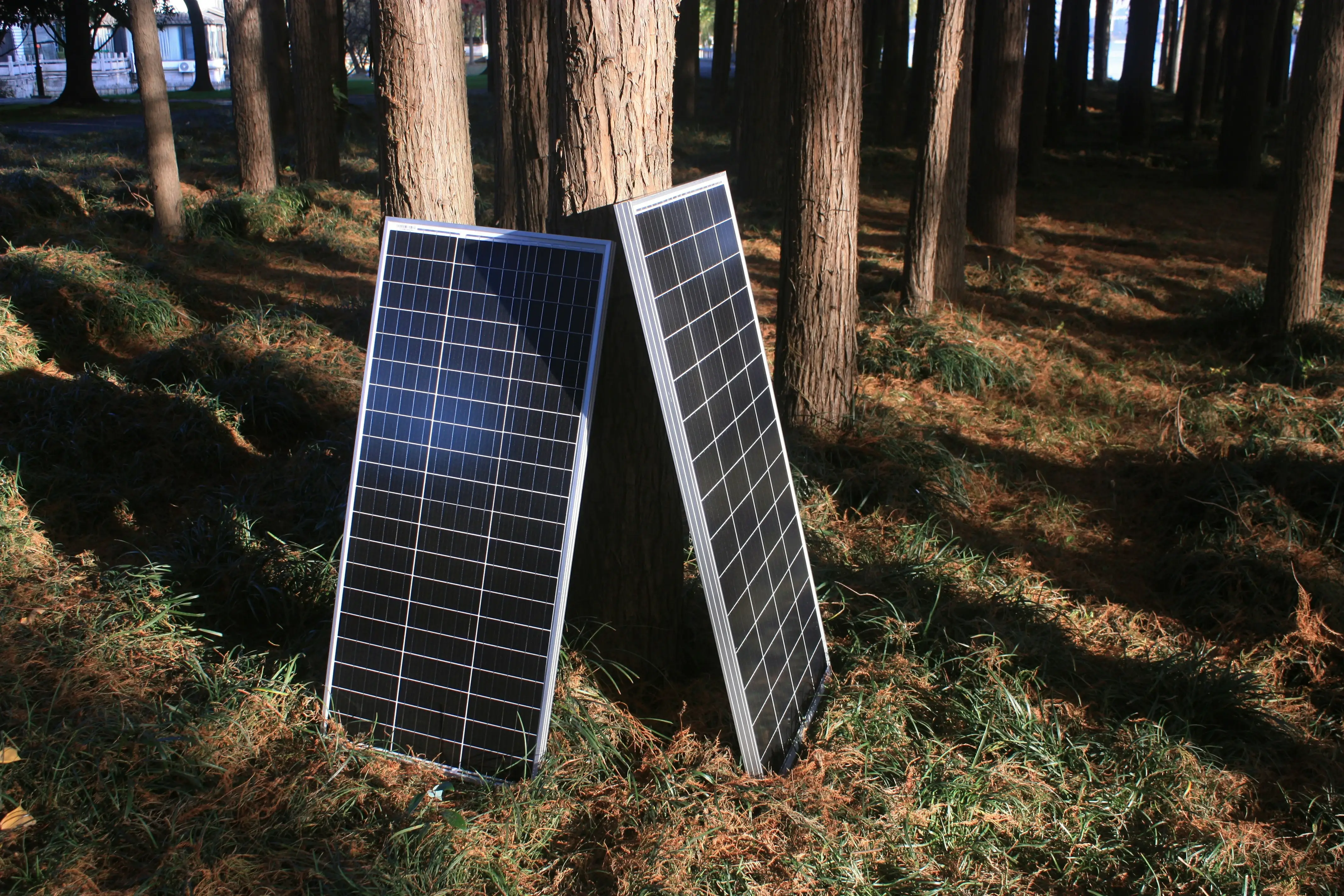 SISTEMAS INDEPENDIENTES en Oaxaca