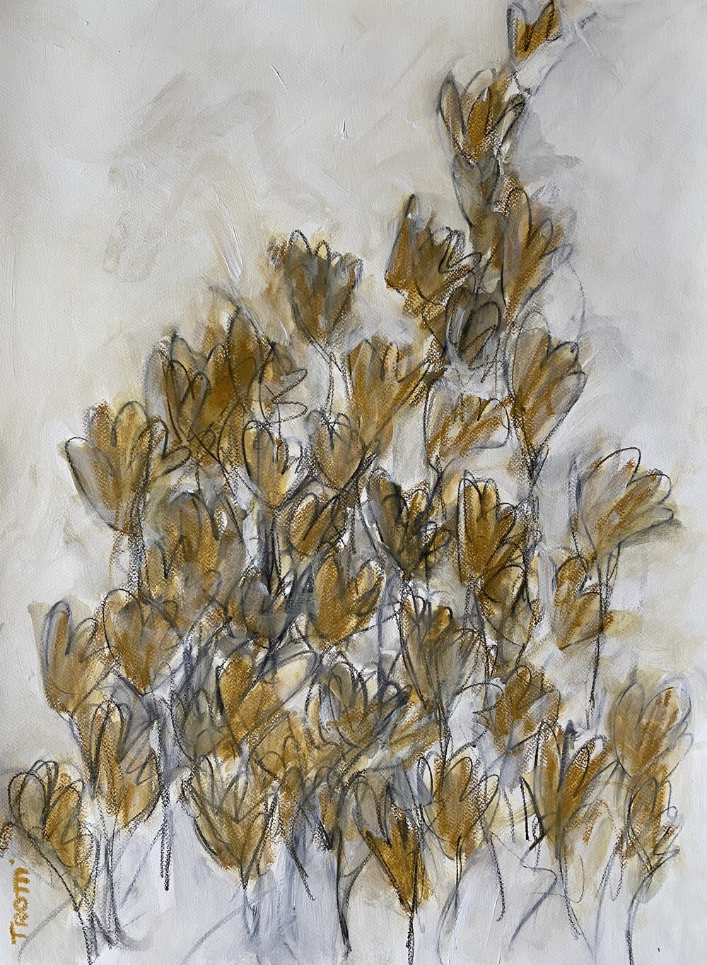 Flowers Series 11