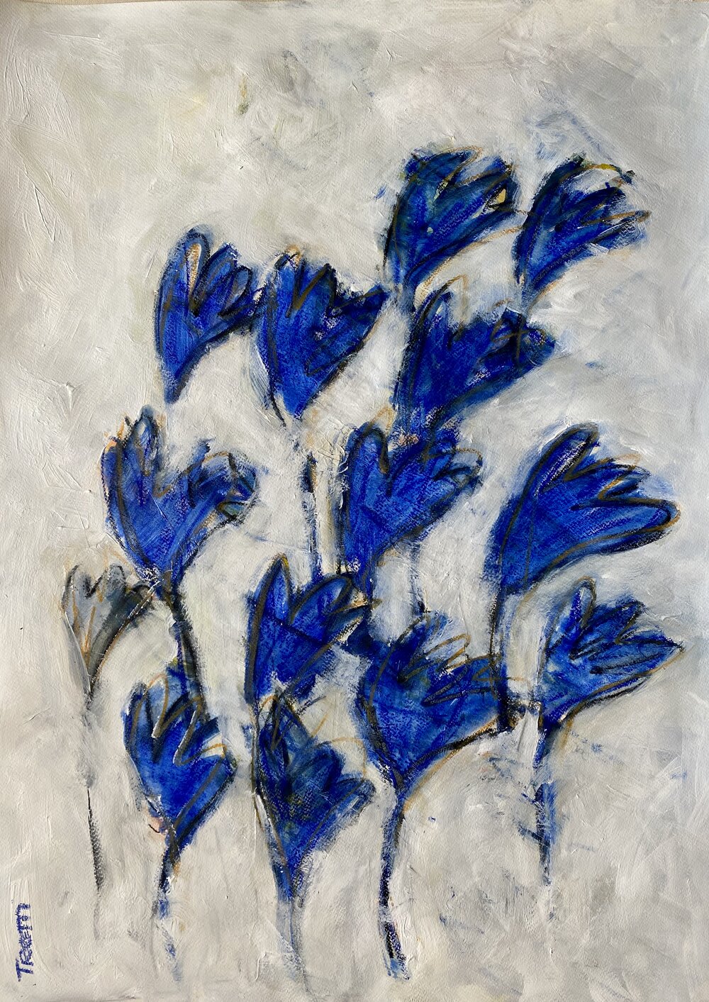 Flowers Series 16