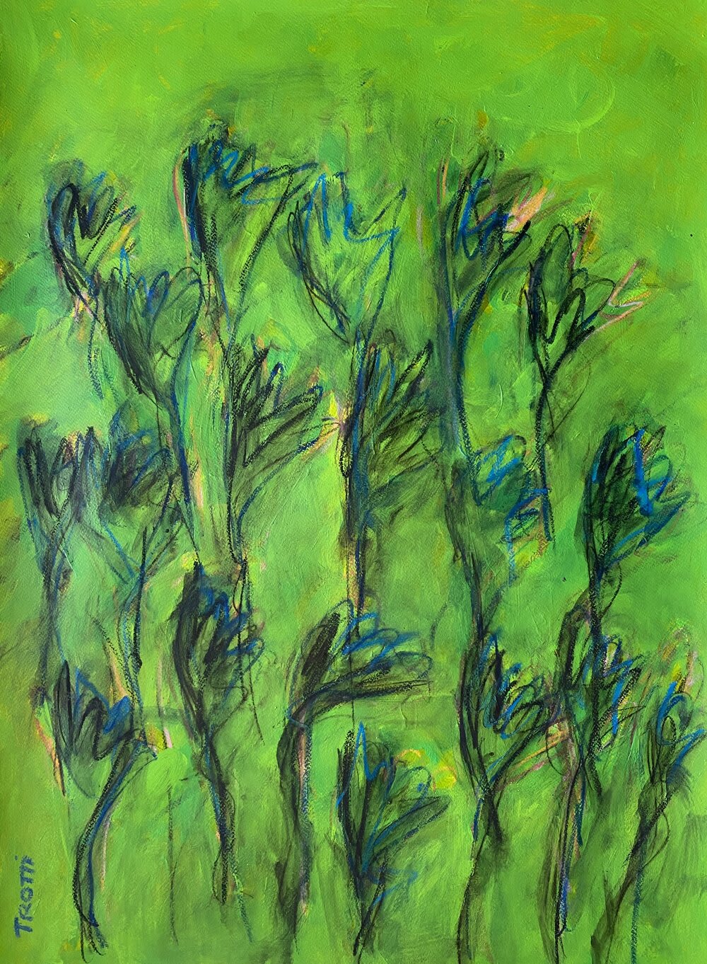 Flowers Series 18
