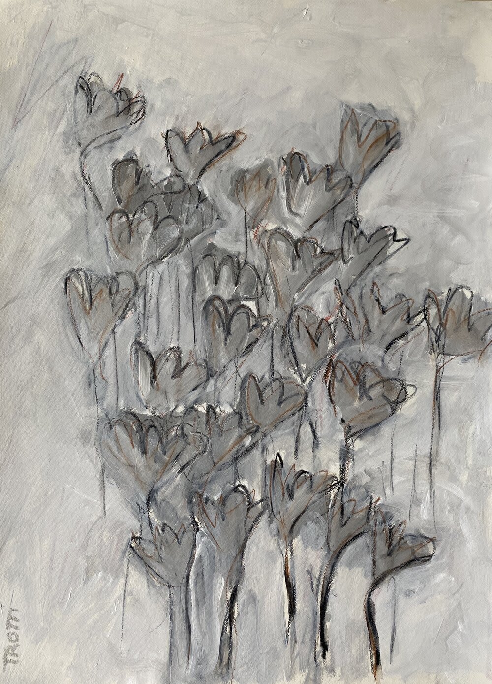 Flowers Series 7