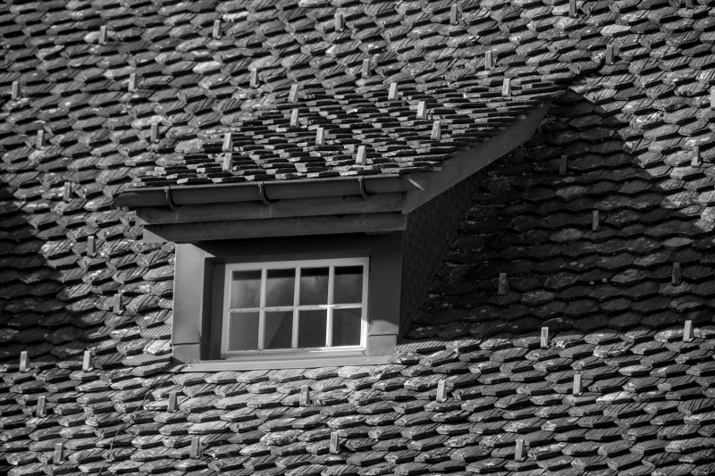 Small dormer window on a shingled roof, in black and white.