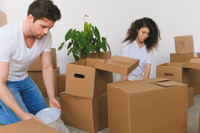 Two people packing cardboard boxes in a bright room with a plant in the background