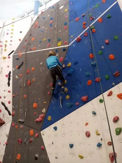 Person climbing a multicolored indoor climbing wall, reaching for a hold.