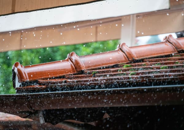 Rainwater overflowing from a blocked gutter on a house in Carlisle