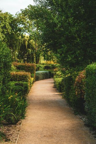 Gravel garden path winding between neatly trimmed hedges and colourful borders.