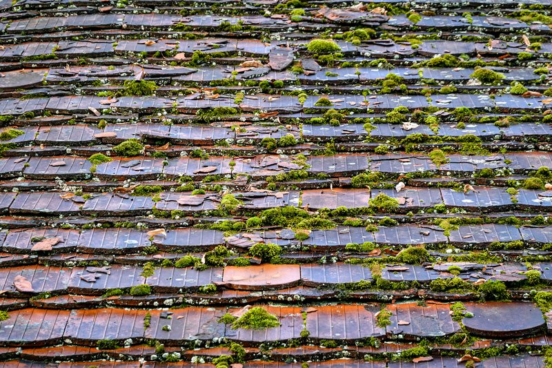 Moss-covered roof in Melbourne before pressure cleaning and restoration