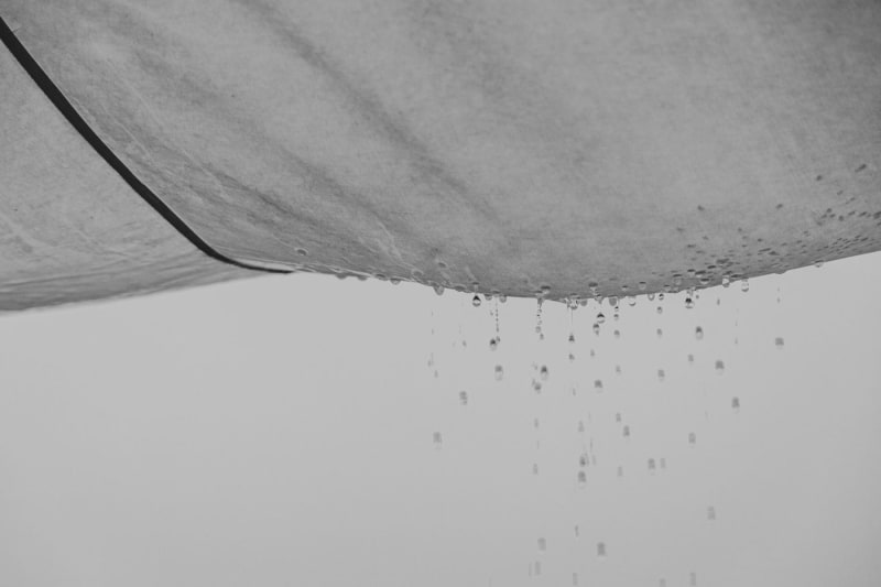 Water staining spreading across an interior ceiling caused by a roof leak