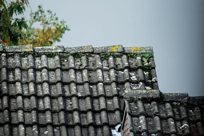 Moss covering concrete roof tiles on a house in Croydon